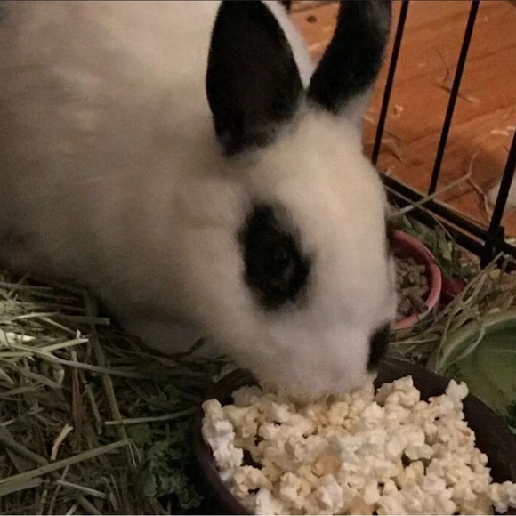 Meet your Posher, Dyanne - Picture 8 of 16